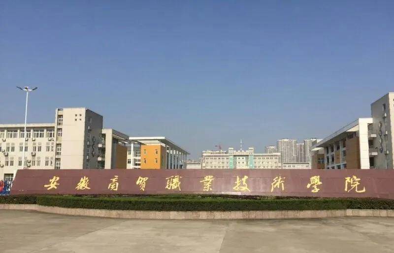 安徽省开设电子商务专业的专科院校有哪些芒果体育？(图1)