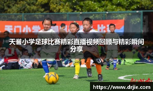满冠体育登录