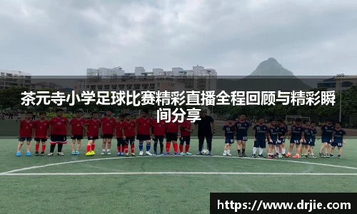 满冠体育平台