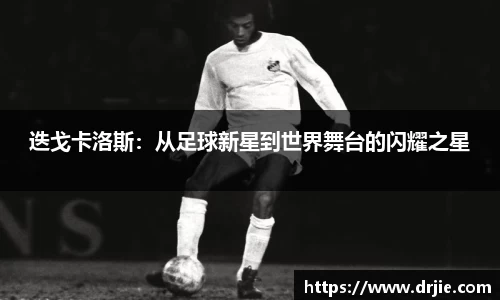 满冠体育登录
